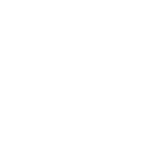 logotipo de Carozzi